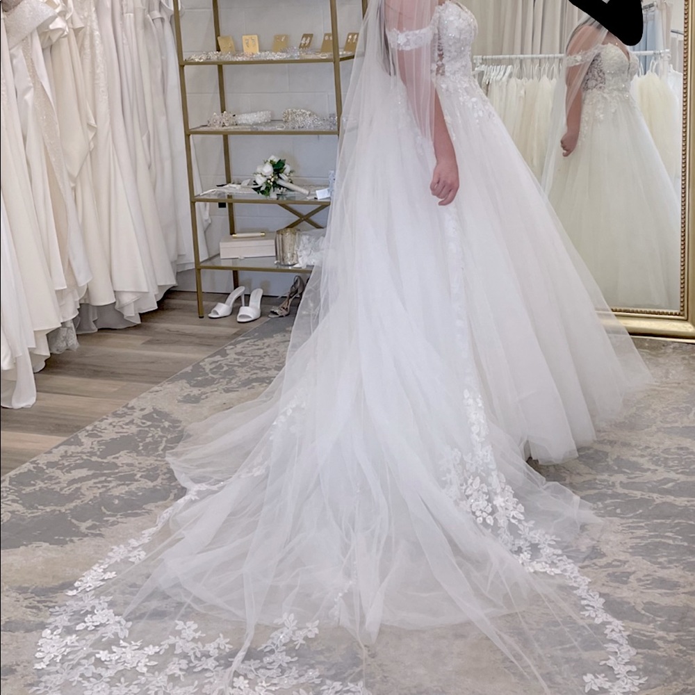 Wedding Dress/ Veil